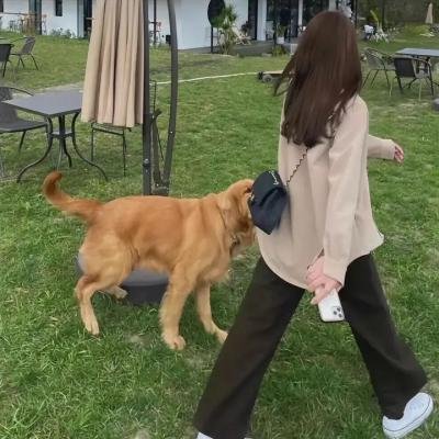 我的朋友很少